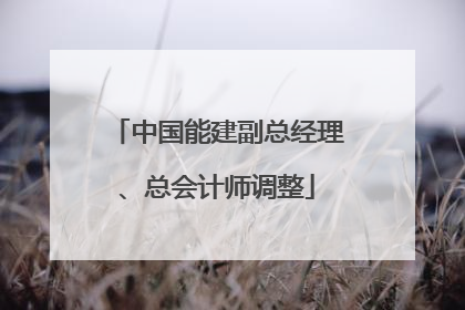 中国能建副总经理、总会计师调整