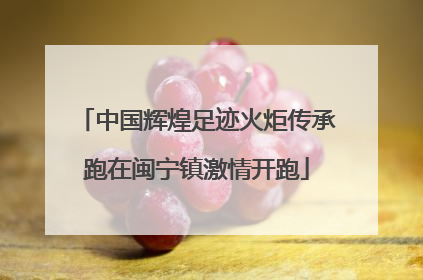 中国辉煌足迹火炬传承跑在闽宁镇激情开跑