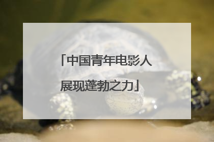 中国青年电影人展现蓬勃之力