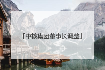 中核集团董事长调整