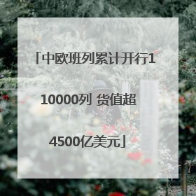 中欧班列累计开行110000列 货值超4500亿美元