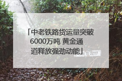 中老铁路货运量突破6000万吨 黄金通道释放强劲动能