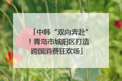 中韩“双向奔赴”！青岛市城阳区打造跨国消费狂欢场