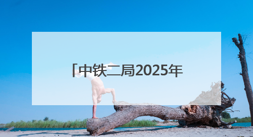 中铁二局2025年“开路先锋杯”职工羽毛球比赛成功举办