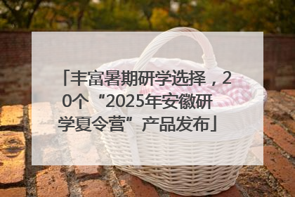 丰富暑期研学选择，20个“2025年安徽研学夏令营”产品发布