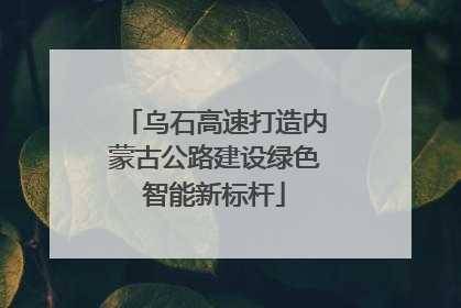 乌石高速打造内蒙古公路建设绿色智能新标杆