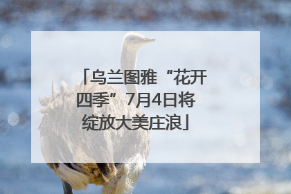 乌兰图雅“花开四季”7月4日将绽放大美庄浪