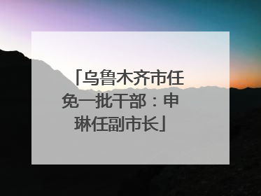 乌鲁木齐市任免一批干部：申琳任副市长