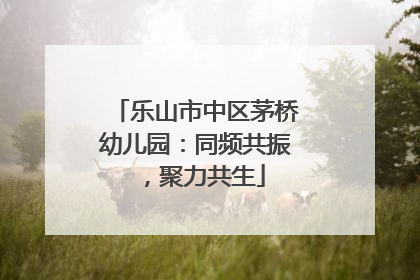 乐山市中区茅桥幼儿园：同频共振，聚力共生