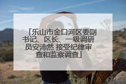 乐山市金口河区委副书记、区长、一级调研员安沛然 接受纪律审查和监察调查