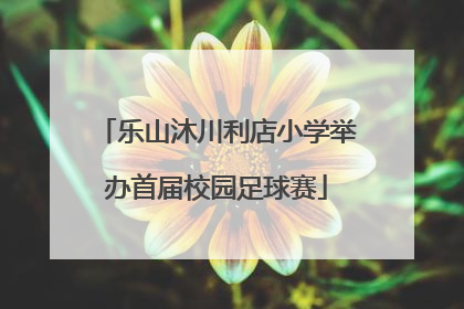 乐山沐川利店小学举办首届校园足球赛