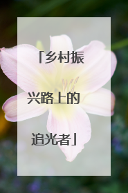 乡村振兴路上的追光者