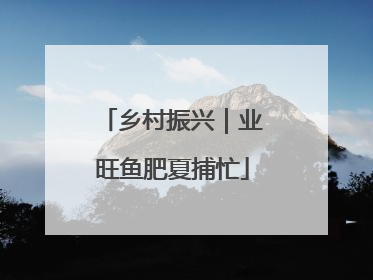 乡村振兴｜业旺鱼肥夏捕忙