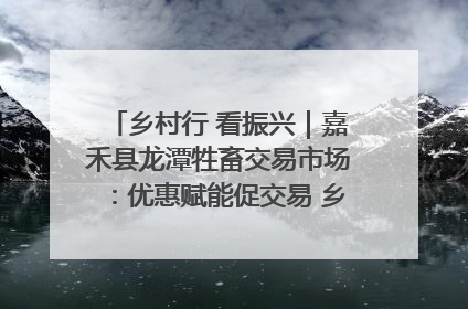 乡村行 看振兴｜嘉禾县龙潭牲畜交易市场：优惠赋能促交易 乡村振兴添动能