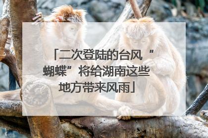 二次登陆的台风“蝴蝶”将给湖南这些地方带来风雨