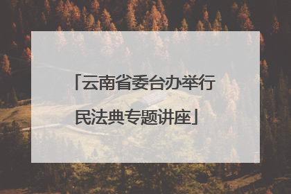 云南省委台办举行民法典专题讲座