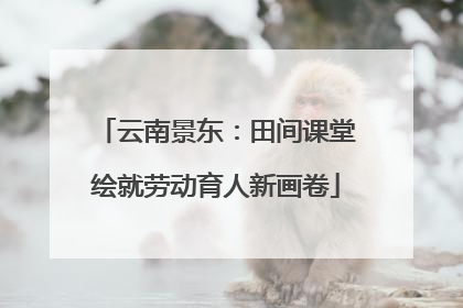 云南景东：田间课堂绘就劳动育人新画卷