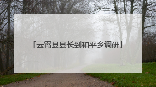 云霄县县长到和平乡调研