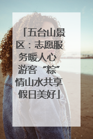 五台山景区：志愿服务暖人心 游客“粽”情山水共享假日美好