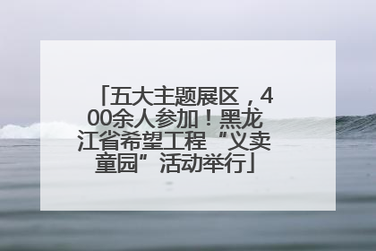 五大主题展区，400余人参加！黑龙江省希望工程“义卖童园”活动举行