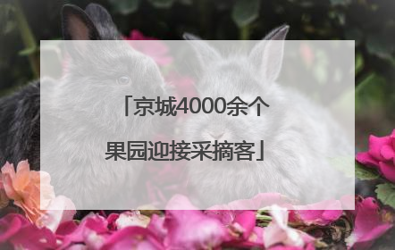 京城4000余个果园迎接采摘客