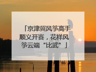 京津冀风筝高手顺义开赛，花样风筝云端“比武”