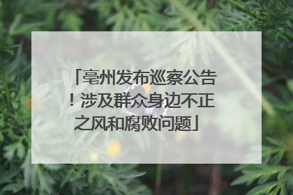 亳州发布巡察公告！涉及群众身边不正之风和腐败问题