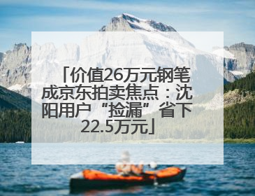 价值26万元钢笔成京东拍卖焦点：沈阳用户“捡漏”省下22.5万元