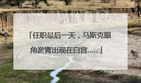 任职最后一天，马斯克眼角淤青出现在白宫……