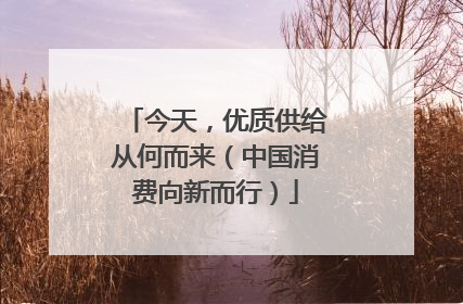 今天，优质供给从何而来（中国消费向新而行）