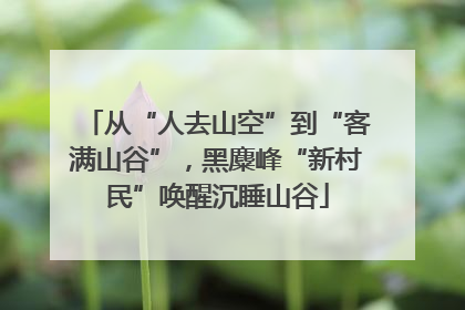 从“人去山空”到“客满山谷”，黑麋峰“新村民”唤醒沉睡山谷