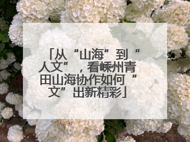 从“山海”到“人文”，看嵊州青田山海协作如何“文”出新精彩