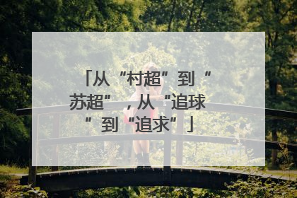 从“村超”到“苏超”，从“追球”到“追求”