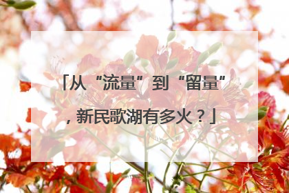 从“流量”到“留量”，新民歌湖有多火？