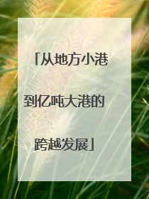 从地方小港到亿吨大港的跨越发展