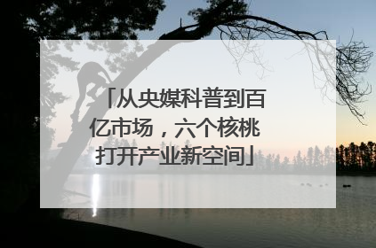 从央媒科普到百亿市场，六个核桃打开产业新空间