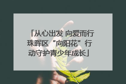 从心出发 向爱而行 珠晖区“向阳花”行动守护青少年成长