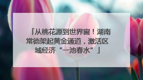 从桃花源到世界窗！湖南常德架起黄金通道，激活区域经济“一池春水”
