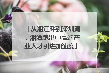 从湘江畔到深圳湾，湘潭跑出中高端产业人才引进加速度