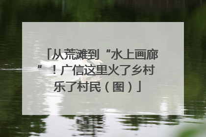 从荒滩到“水上画廊”！广信这里火了乡村 乐了村民（图）