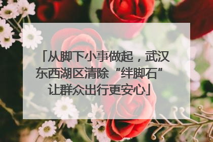 从脚下小事做起，武汉东西湖区清除“绊脚石”让群众出行更安心