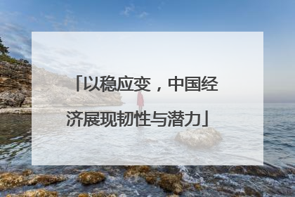 以稳应变，中国经济展现韧性与潜力