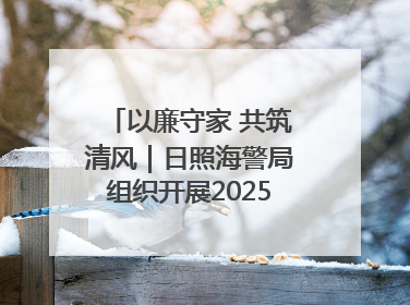 以廉守家 共筑清风｜日照海警局组织开展2025年集中送廉活动