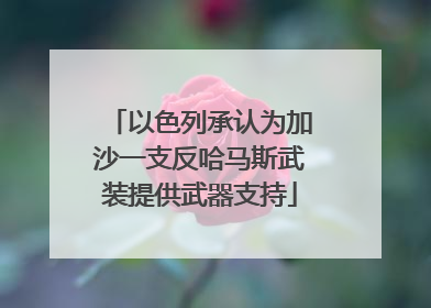 以色列承认为加沙一支反哈马斯武装提供武器支持