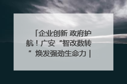 企业创新 政府护航！广安“智改数转”焕发强劲生命力｜市州焕新力