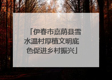 伊春市嘉荫县雪水温村厚植文明底色促进乡村振兴