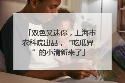 双色又迷你，上海市农科院出品，“吃瓜界”的小清新来了