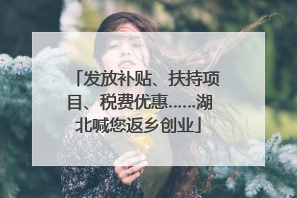 发放补贴、扶持项目、税费优惠……湖北喊您返乡创业