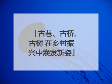 古巷、古桥、古树 在乡村振兴中焕发新姿