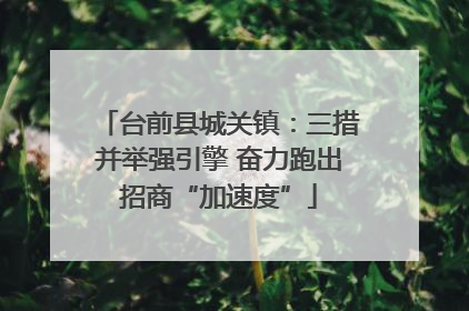 台前县城关镇：三措并举强引擎 奋力跑出招商“加速度”